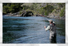 the fishing