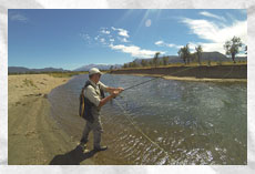 the fishing